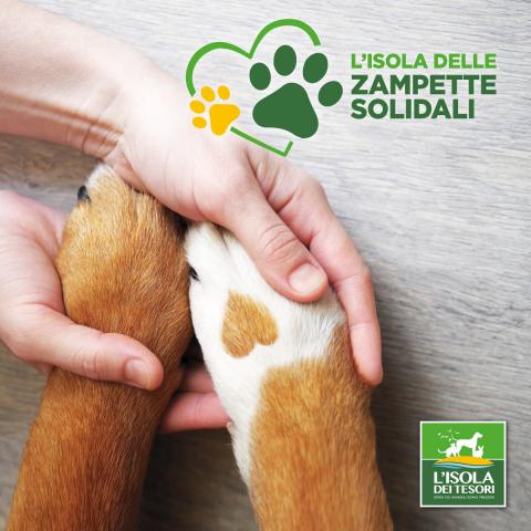 Zampette solidali - Isola dei Tesori di Rho
