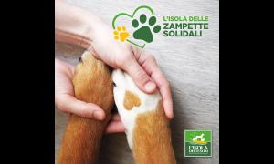 Zampette solidali - Isola dei Tesori di Rho