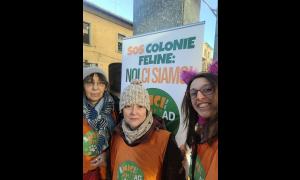 Volontari al banchetto di carnevale in via Madonna a Rho